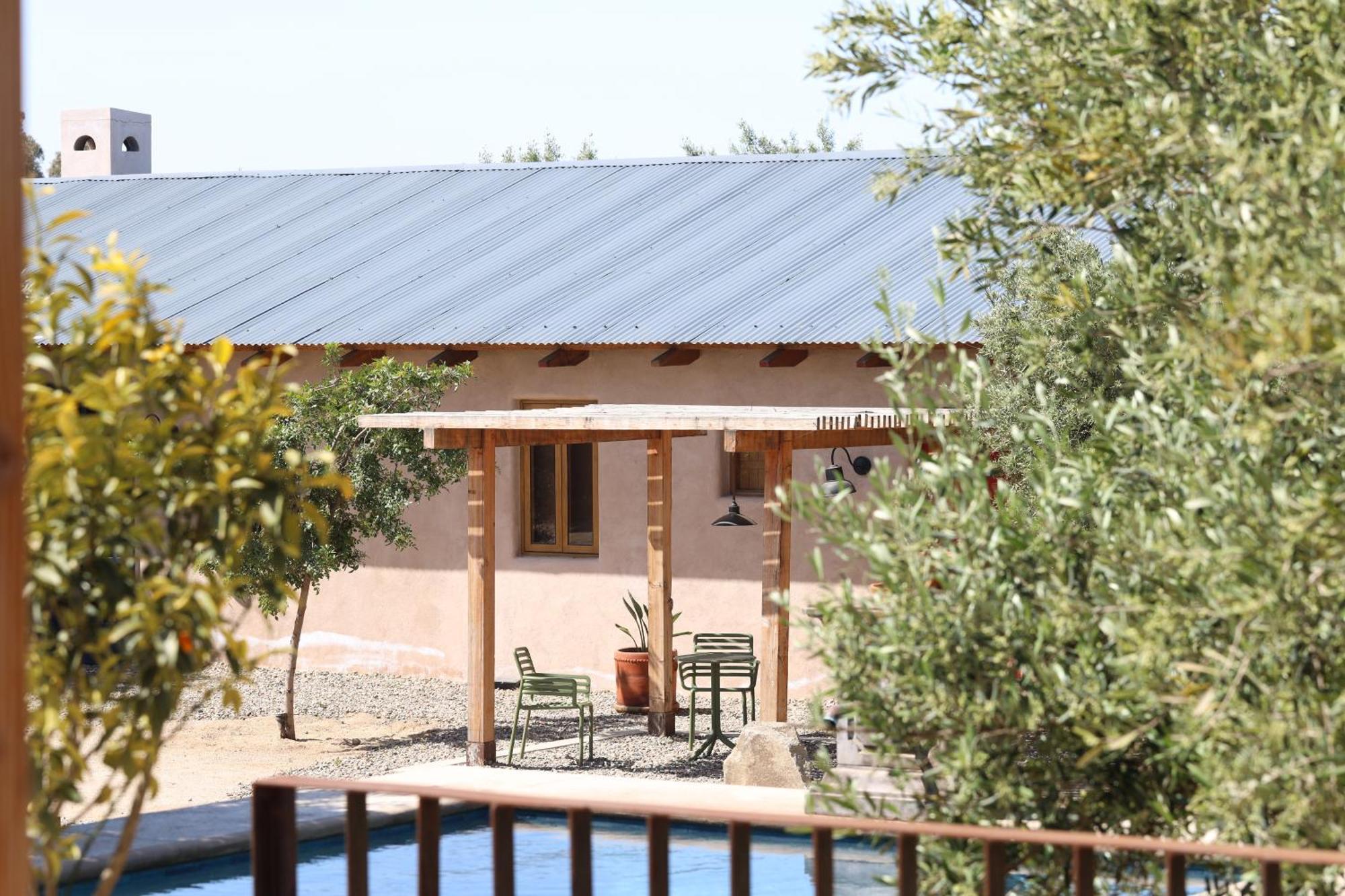 Alma Liebre Vinedos Del Valle Valle de Guadalupe Exterior photo